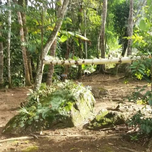 STIO COM MAIS DE 36.000M DE REA 