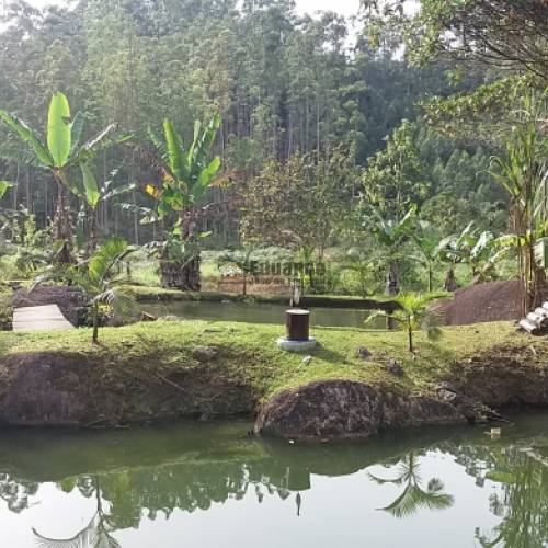 STIO COM MAIS DE 36.000M DE REA 