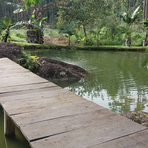 STIO COM MAIS DE 36.000M DE REA 