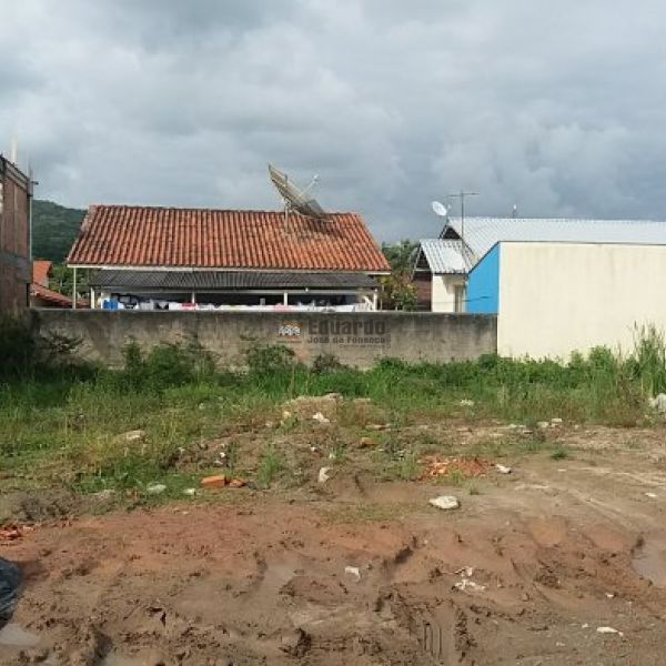 DOIS LOTES JUNTOS COM 465,50M