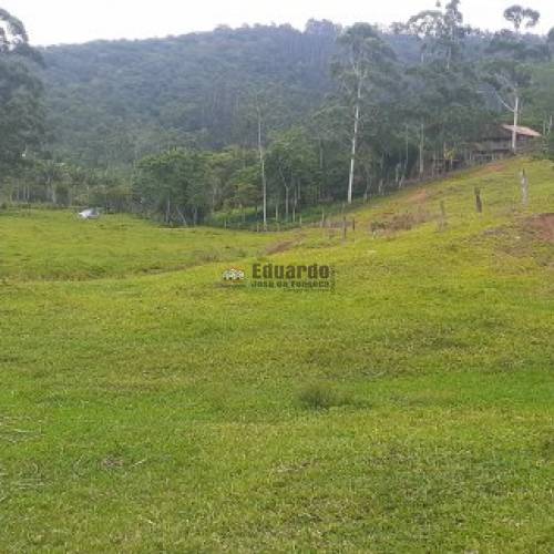 TERRENO PARA FAZENDA COM 345.000M