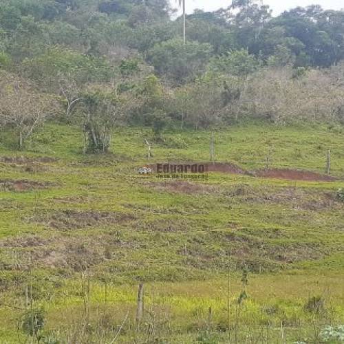 TERRENO PARA FAZENDA COM 345.000M