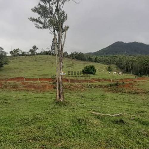 TERRENO PARA FAZENDA COM 345.000M