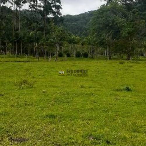 TERRENO PARA FAZENDA COM 345.000M