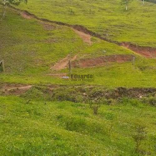 TERRENO PARA FAZENDA COM 345.000M