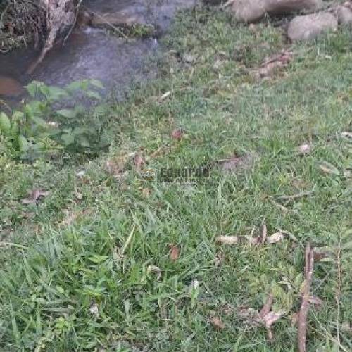 TERRENO PARA FAZENDA COM 345.000M