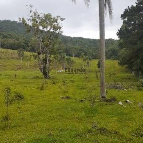 TERRENO PARA FAZENDA COM 345.000M