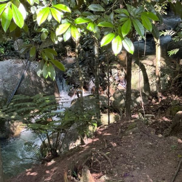 CASA EM CANELINHA  COM 3.800 METROS DE �REA.