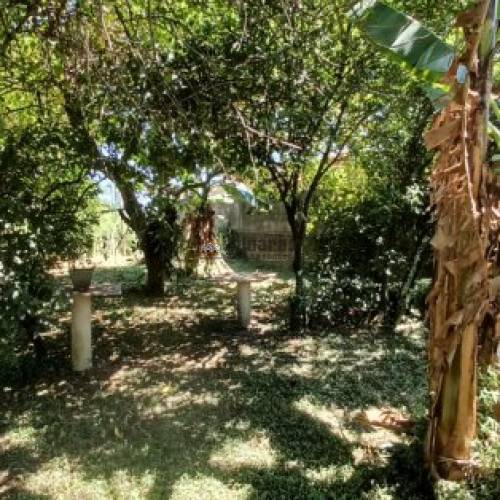TERRENO EM REGIO COMERCIAL
