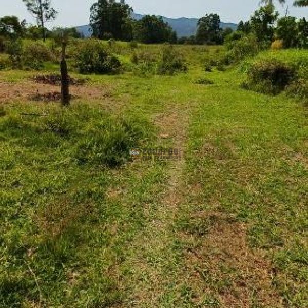 TERRENO EM GRANDE REA DE EXPANSO!