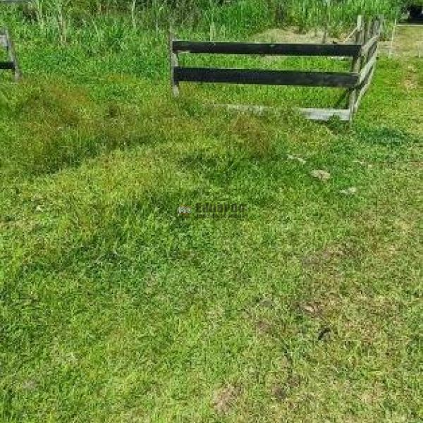 TERRENO EM GRANDE REA DE EXPANSO!