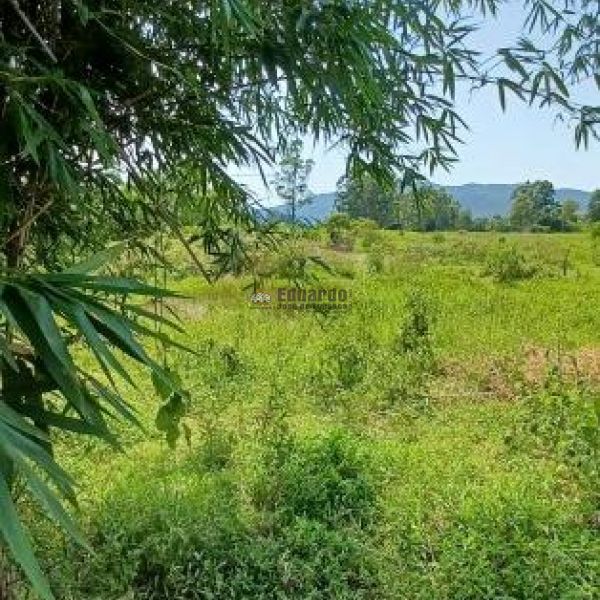 TERRENO EM GRANDE REA DE EXPANSO!