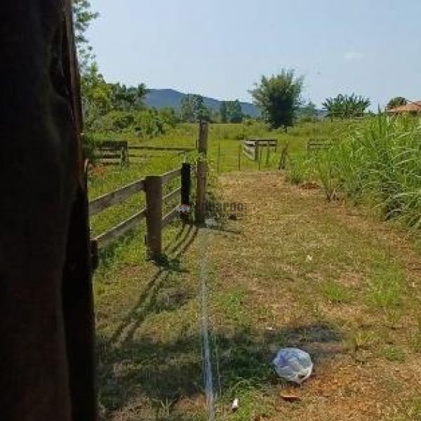 TERRENO EM GRANDE REA DE EXPANSO!