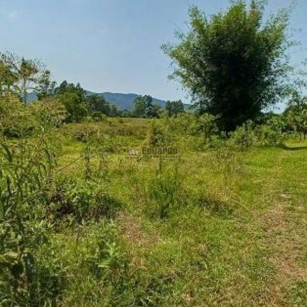 TERRENO EM GRANDE REA DE EXPANSO!