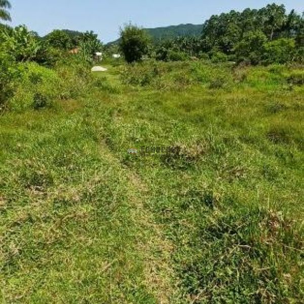 TERRENO EM GRANDE REA DE EXPANSO!