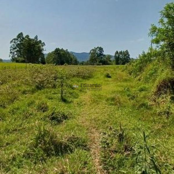 TERRENO EM GRANDE REA DE EXPANSO!