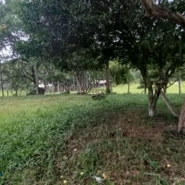 TERRENO PARA SUA CHCARA.