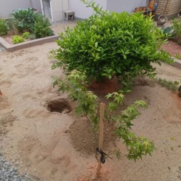 LINDA CASA EM REA NOBRE DE TIJUCAS