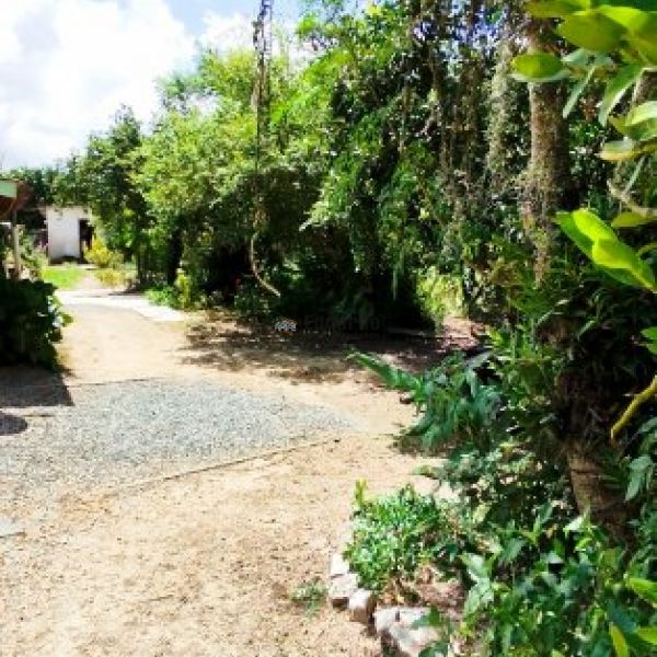 REA COMERCIAL URBANA COM MAIS DE 15 MIL M