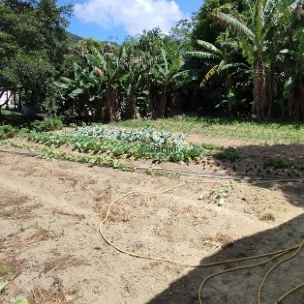 REA COMERCIAL URBANA COM MAIS DE 15 MIL M