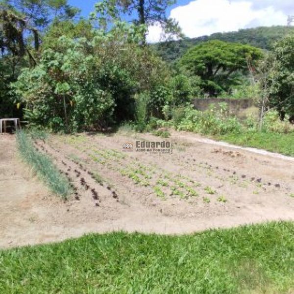 REA COMERCIAL URBANA COM MAIS DE 15 MIL M