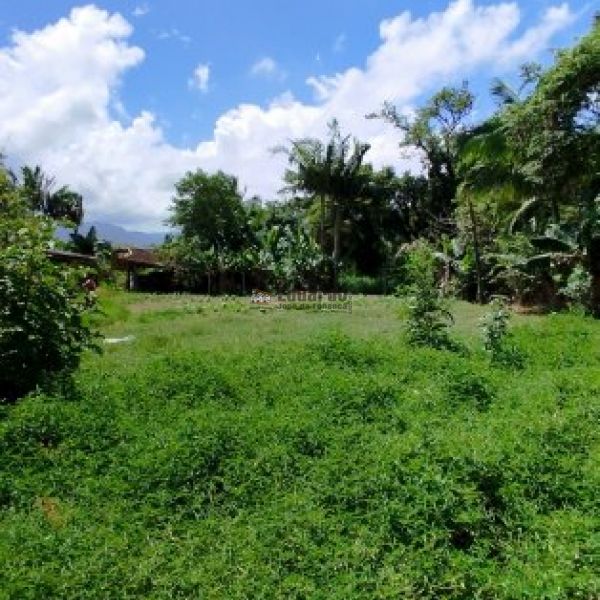 REA COMERCIAL URBANA COM MAIS DE 15 MIL M