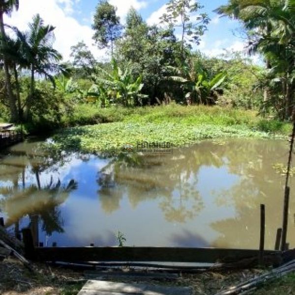 REA COMERCIAL URBANA COM MAIS DE 15 MIL M