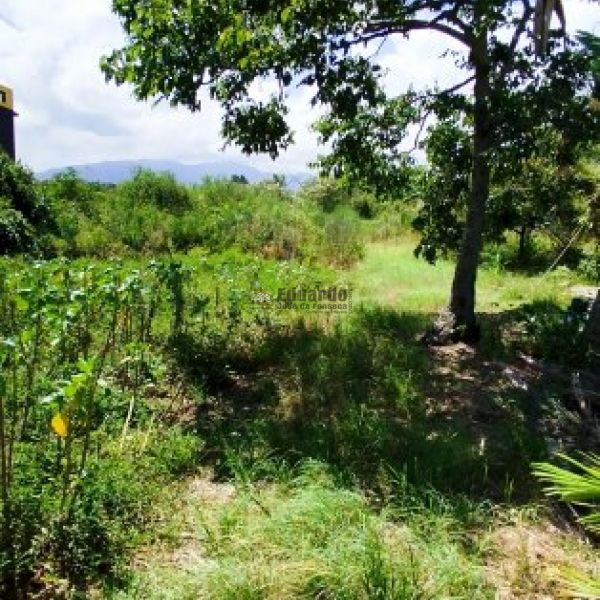 REA COMERCIAL URBANA COM MAIS DE 15 MIL M