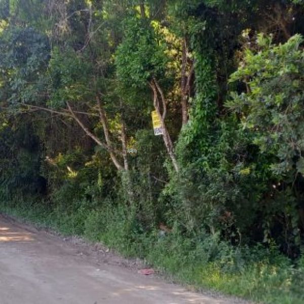 TERRENO NA PRAIA DE MARISCAL - BOMBINHAS 