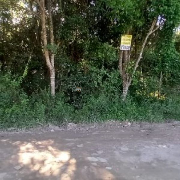 TERRENO NA PRAIA DE MARISCAL - BOMBINHAS 