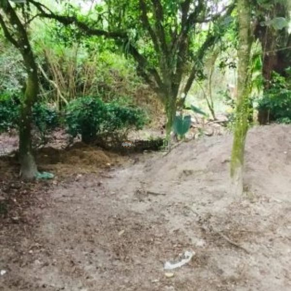 CASA NO SERTO DE SANTA LUZIA 03 DORM.