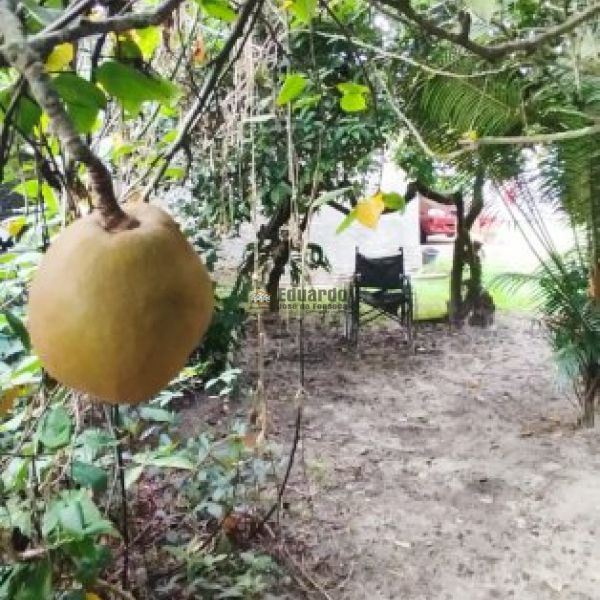 CASA NO SERTO DE SANTA LUZIA 03 DORM.