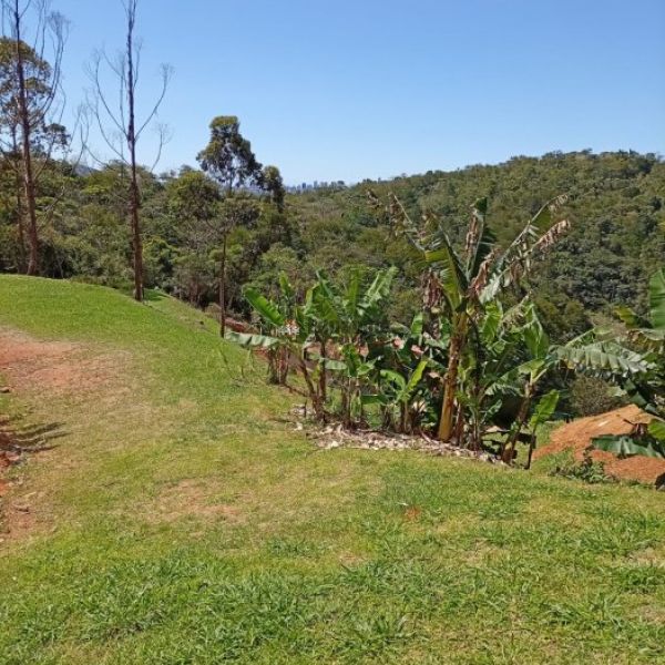 TERRENO NO SERTO DE SANTA LUZIA 