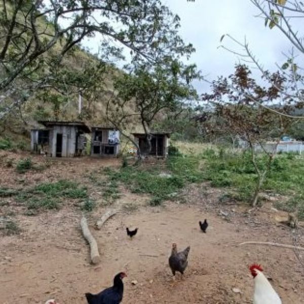 CASA EM STIO COM REA DE 10MIL M.