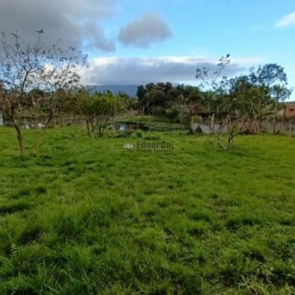 CASA EM STIO COM REA DE 10MIL M.