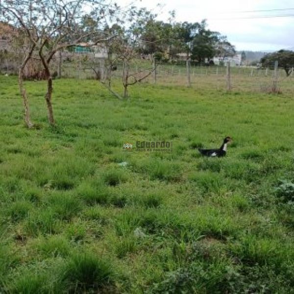 CASA EM STIO COM REA DE 10MIL M.