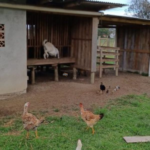 CASA EM STIO COM REA DE 10MIL M.