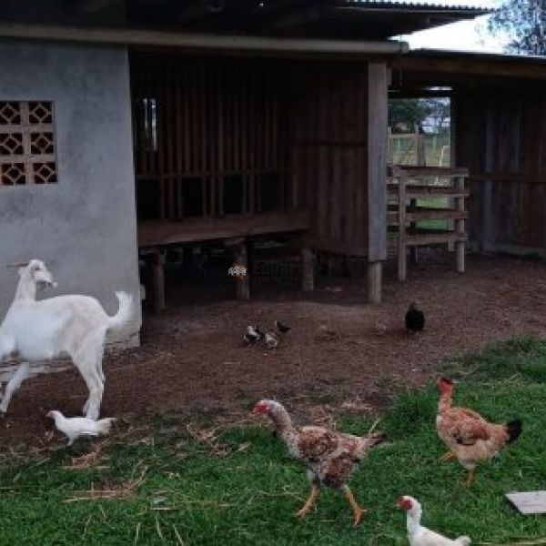 CASA EM STIO COM REA DE 10MIL M.