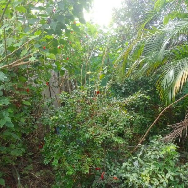 CASA NO BAIRRO VILA NOVA 