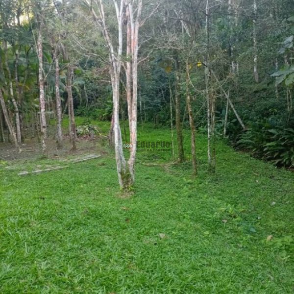 CASA DE S�TIO EM S�O JO�O BATISTA