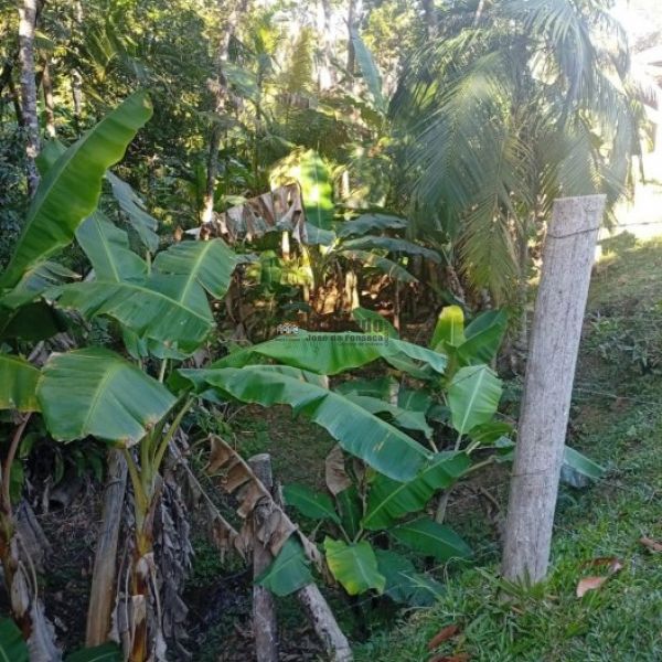 CASA DE S�TIO EM S�O JO�O BATISTA