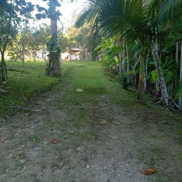CASA DE S�TIO EM S�O JO�O BATISTA
