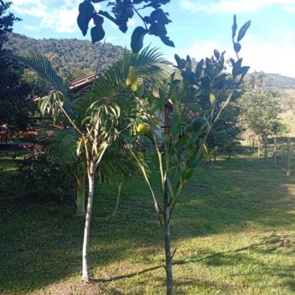CASA DE S�TIO EM S�O JO�O BATISTA