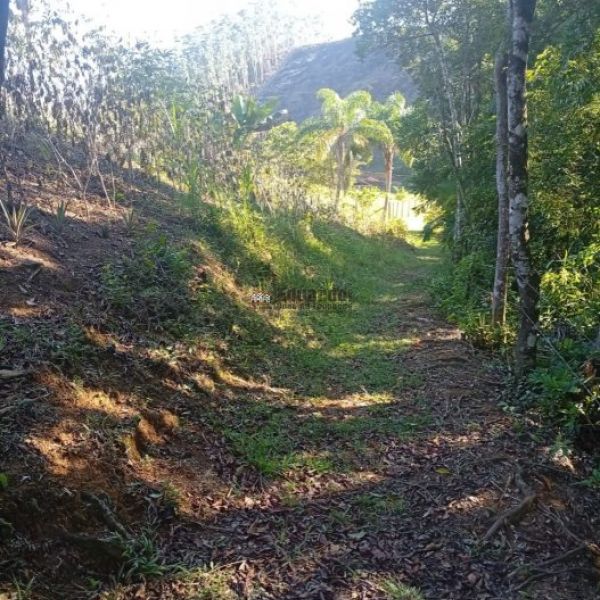 CASA DE S�TIO EM S�O JO�O BATISTA