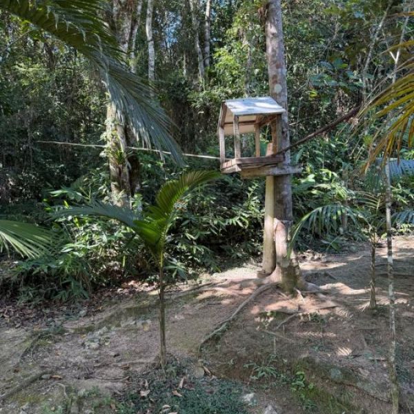 CASA DE S�TIO EM S�O JO�O BATISTA