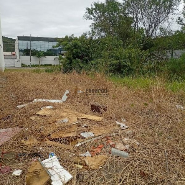 TERRENO PR�XIMO A UNIVERSIDADE EM BAL.CAMBORI�