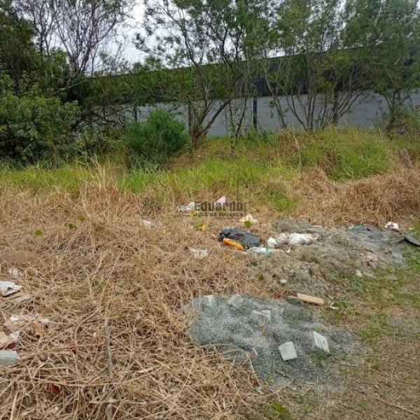 TERRENO PR�XIMO A UNIVERSIDADE EM BAL.CAMBORI�