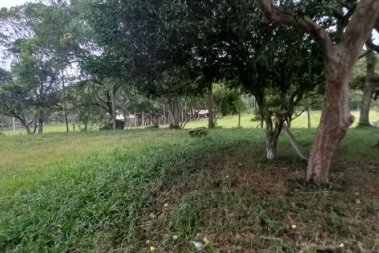 TERRENO PARA SUA CHÁCARA.